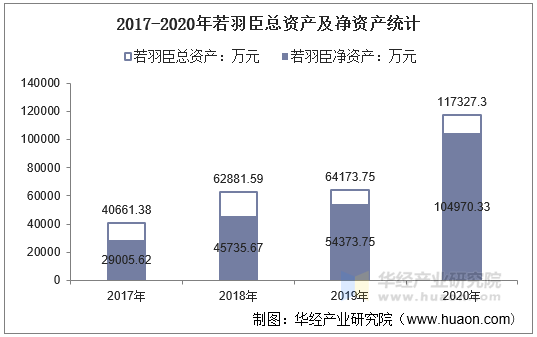 2017-2020年若羽臣总资产及净资产统计