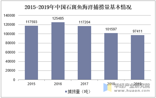2015-2019年中国石斑鱼海洋捕捞量基本情况
