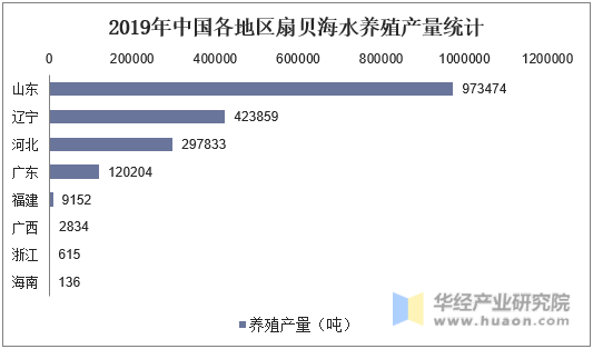 2019年中国各地区扇贝海水养殖产量统计