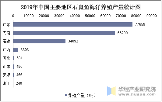 2019年中国主要地区石斑鱼海洋养殖产量统计图