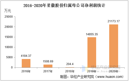 2016-2020年星徽股份归属母公司净利润统计