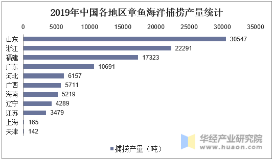 2019年中国各地区章鱼海洋捕捞产量统计