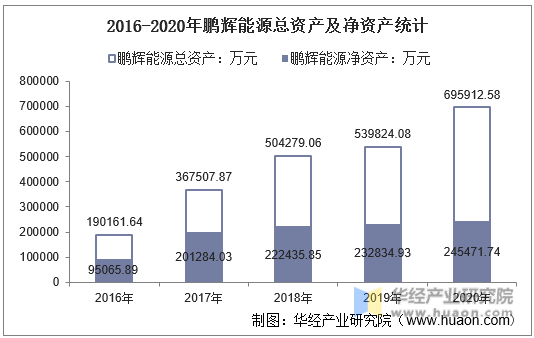 2016-2020年鹏辉能源总资产及净资产统计