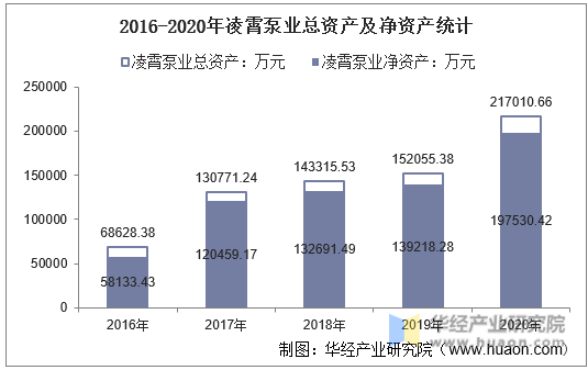 2016-2020年凌霄泵业总资产及净资产统计