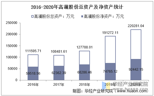 2016-2020年高澜股份总资产及净资产统计