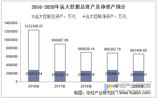 2016-2020年远大控股总资产及净资产统计
