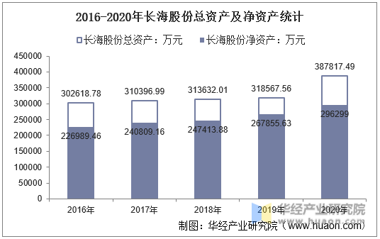 2016-2020年长海股份总资产及净资产统计