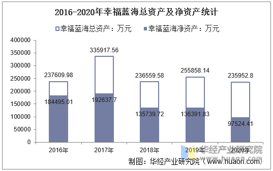 2016-2020年幸福蓝海总资产及净资产统计