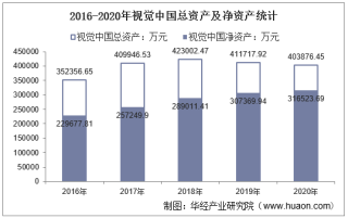 2016-2020年视觉中国（000681）总资产、营业收入、营业成本、净利润及股本结构统计