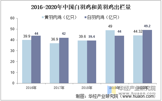 2016-2020年中国白羽鸡和黄羽鸡出栏量