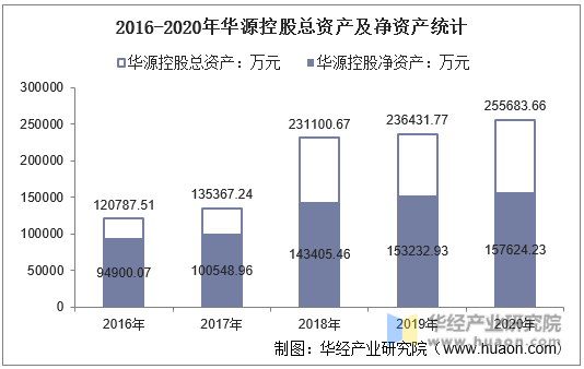 2016-2020年华源控股总资产及净资产统计