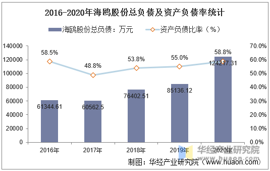 2016-2020年海鸥股份总负债及资产负债率统计