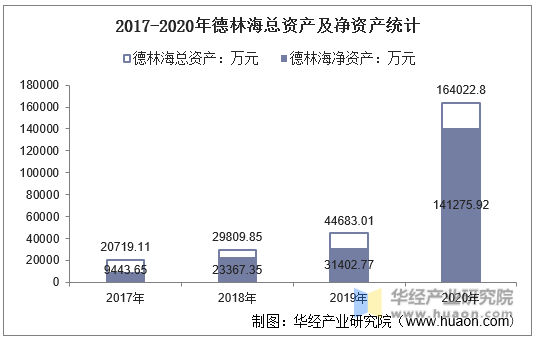 2017-2020年德林海总资产及净资产统计