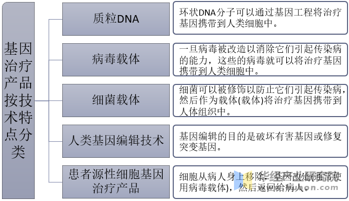 基因治疗产品按技术特点分类