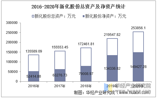 2016-2020年新化股份总资产及净资产统计