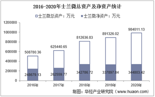 2016-2020年士兰微(600460)总资产、营业收入、营业成本、净利润及股本结构统计