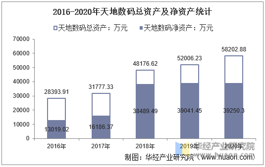 2016-2020年天地数码总资产及净资产统计