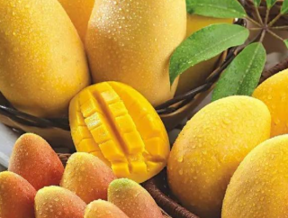 柬埔寨新鲜芒果进入华北市场，首次出口中国，我国生鲜农产品进口市场需求较大，进口总额逐年增长！「图」