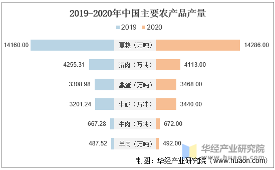 2019-2020年中国主要农产品产量