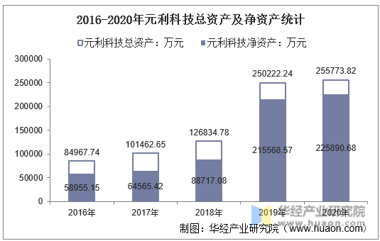 2016-2020年元利科技总资产及净资产统计