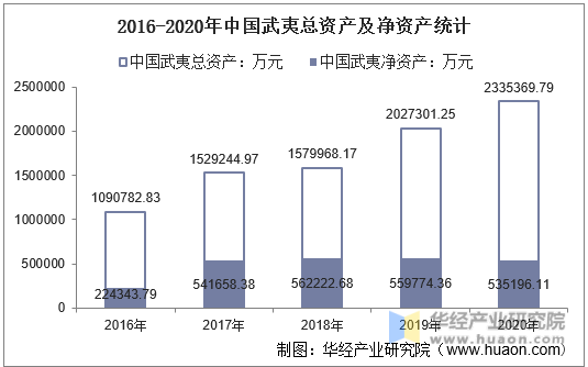 2016-2020年中国武夷总资产及净资产统计