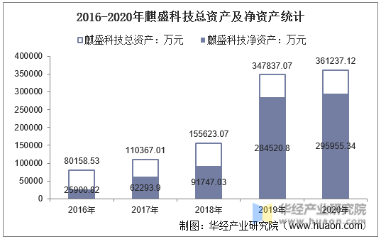 2016-2020年麒盛科技总资产及净资产统计