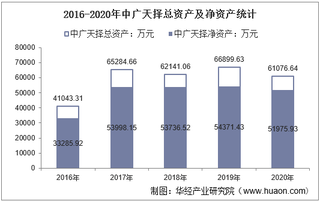 2016-2020年中广天择(603721)总资产、总负债、营业收入、营业成本及净利润统计
