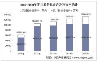 2016-2020年正川股份（603976）总资产、总负债、营业收入、营业成本及净利润统计