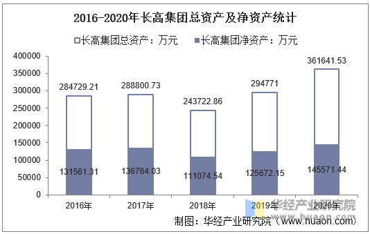2016-2020年长高集团总资产及净资产统计