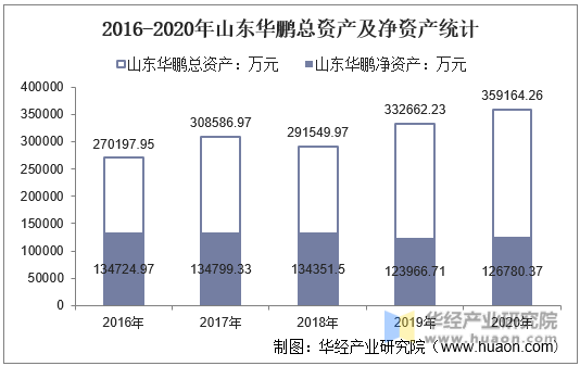 2016-2020年山东华鹏总资产及净资产统计