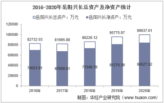 2016-2020年岳阳兴长（000819）总资产、营业收入、营业成本、净利润及每股收益统计