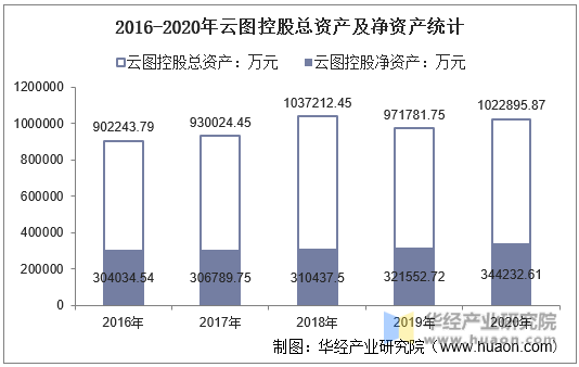 2016-2020年云图控股总资产及净资产统计