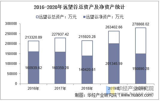 2016-2020年远望谷总资产及净资产统计