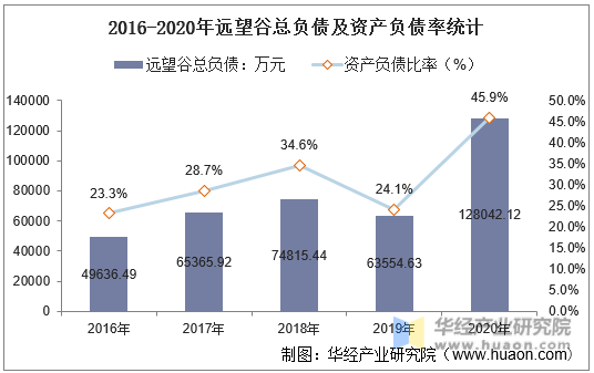 2016-2020年远望谷总负债及资产负债率统计