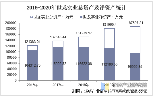 2016-2020年世龙实业总资产及净资产统计