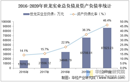 2016-2020年世龙实业总负债及资产负债率统计