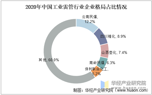 2020年中国工业雷管行业企业格局占比情况