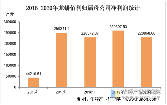 2016-2020年龙蟒佰利归属母公司净利润统计