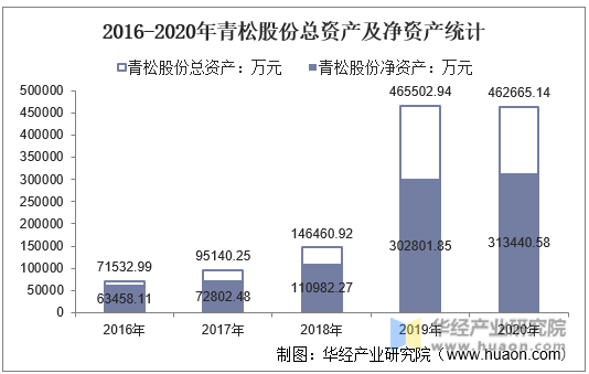 2016-2020年青松股份总资产及净资产统计