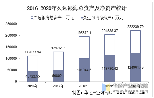 2016-2020年久远银海总资产及净资产统计
