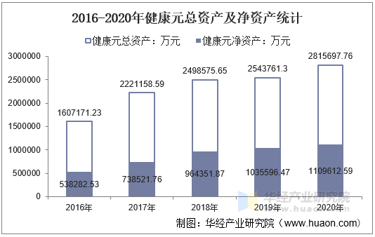 2016-2020年健康元总资产及净资产统计