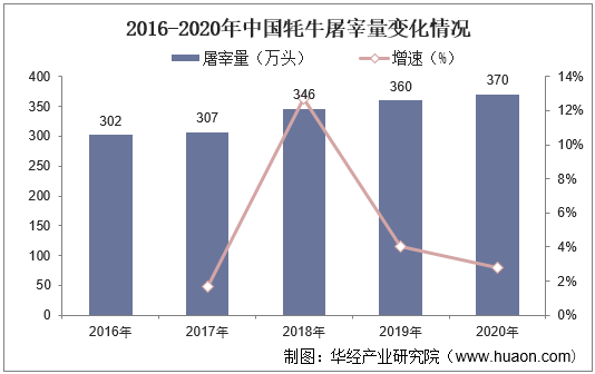 2016-2020年中国牦牛屠宰量变化情况
