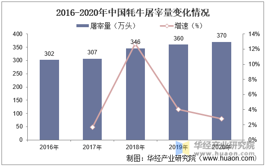 2016-2020年中国牦牛屠宰量变化情况