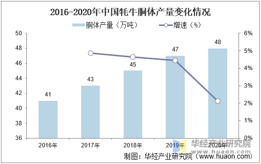 2016-2020年中国牦牛胴体产量变化情况