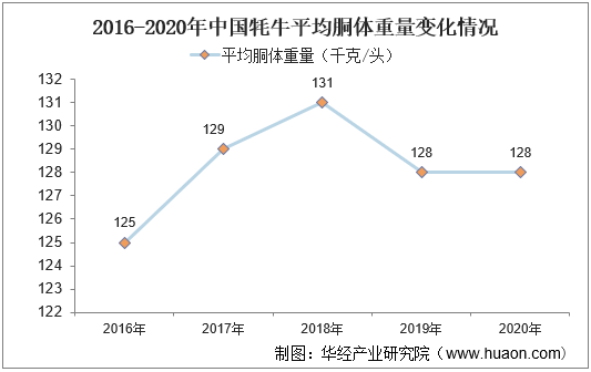 2016-2020年中国牦牛平均胴体重量变化情况