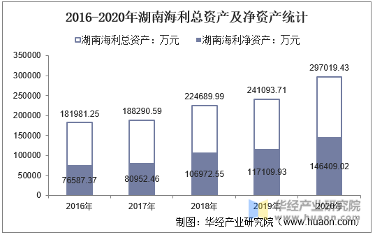 2016-2020年湖南海利总资产及净资产统计