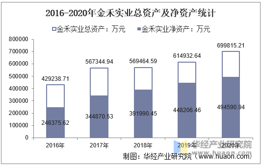 2016-2020年金禾实业总资产及净资产统计