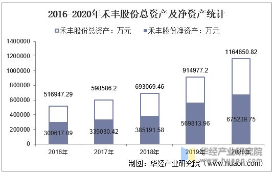 2016-2020年禾丰股份总资产及净资产统计