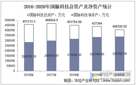 2016-2020年国脉科技总资产及净资产统计