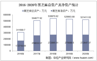 2016-2020年黑芝麻（000716）总资产、营业收入、营业成本、净利润及股本结构统计